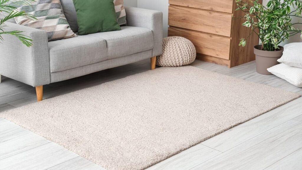 Halı Temizliği Nasıl Yapılır