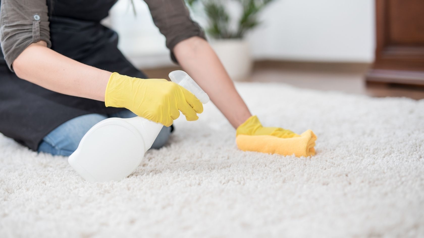 halı temizliği