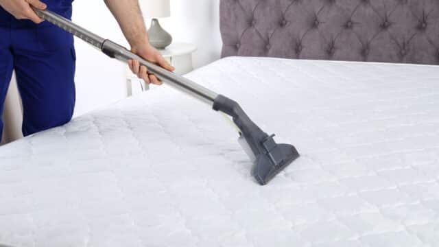 Kedi İdrar Kokusu Nasıl Geçer