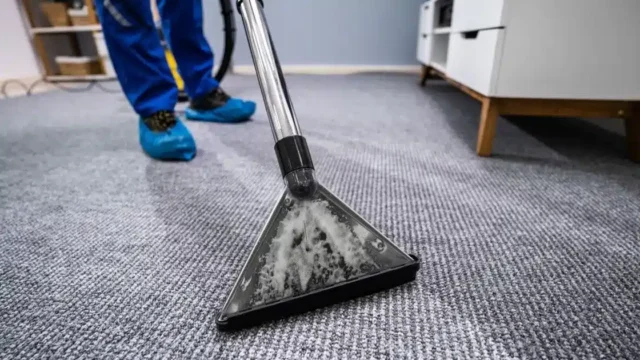 Kedi İdrar Kokusu Nasıl Geçer